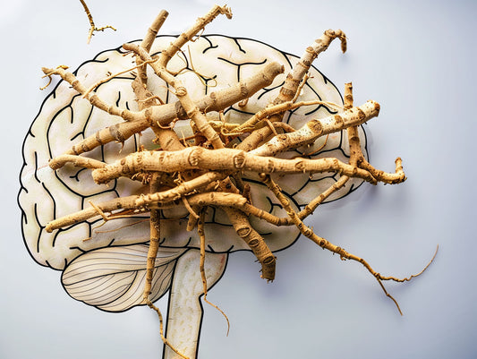 Ashwagandha Tea Benefits
