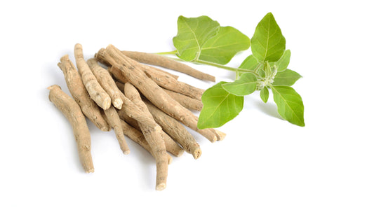 Ashwagandha
