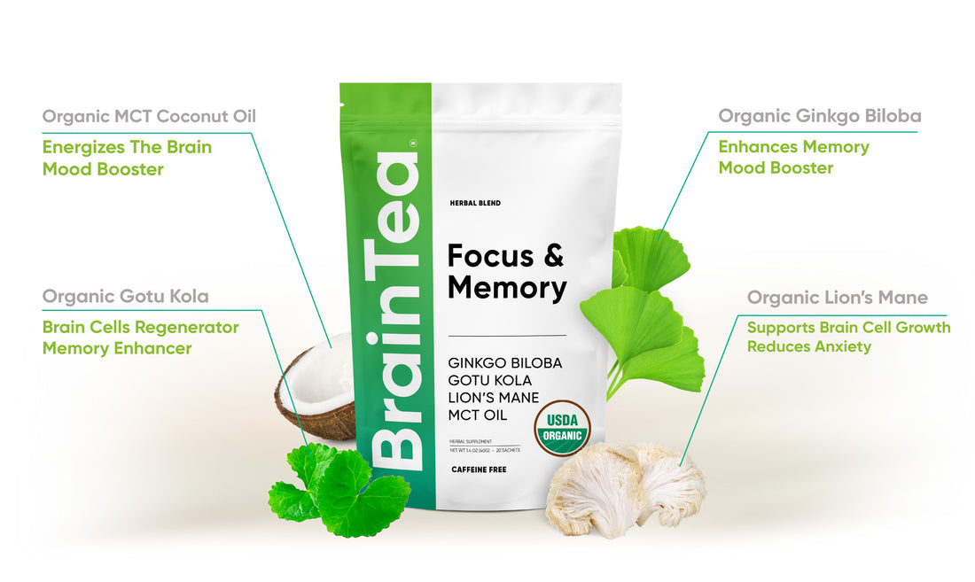 Gotu Kola, Ginkgo biloba, MCT Coconut Oil, and Lions Mane Mushroom