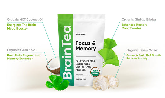 Gotu Kola, Ginkgo biloba, MCT Coconut Oil, and Lions Mane Mushroom