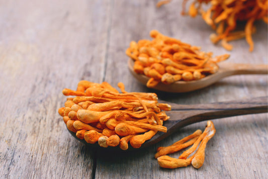 Cordyceps Mushroom Benefits