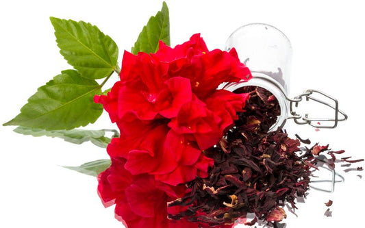 Hibiscus
