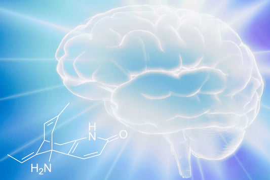 Huperzine A Benefits