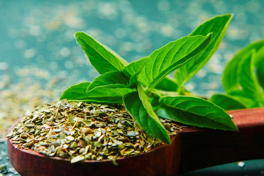 Tulsi Holy Basil