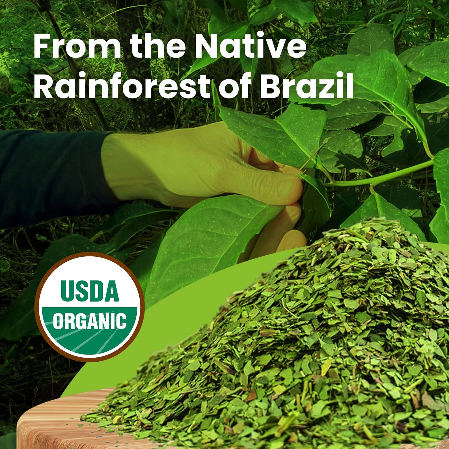 Organic Yerba Mate Tea bags