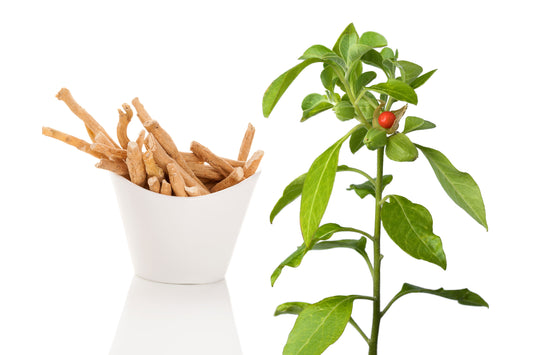 Ashwagandha And Brain Health Benefits