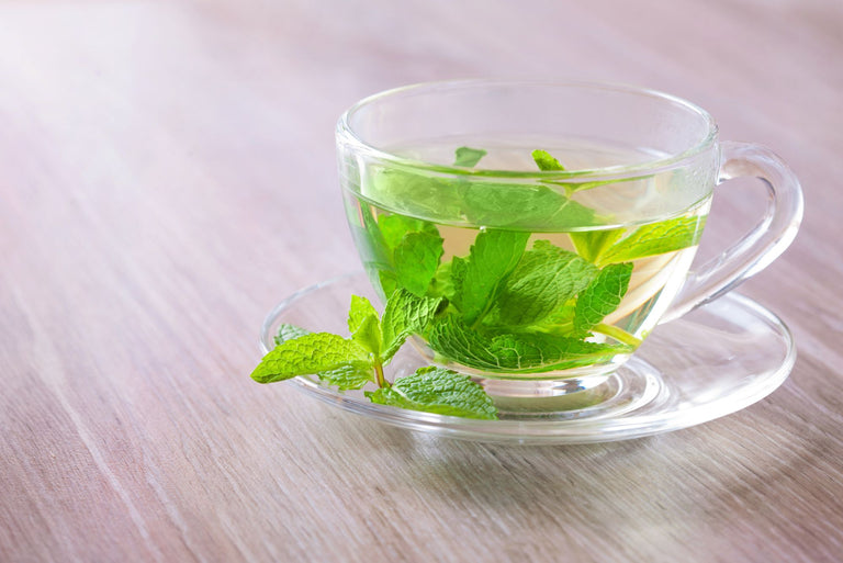 Peppermint A Refreshing Herb with Cognitive Boosting Potential Brain Tea