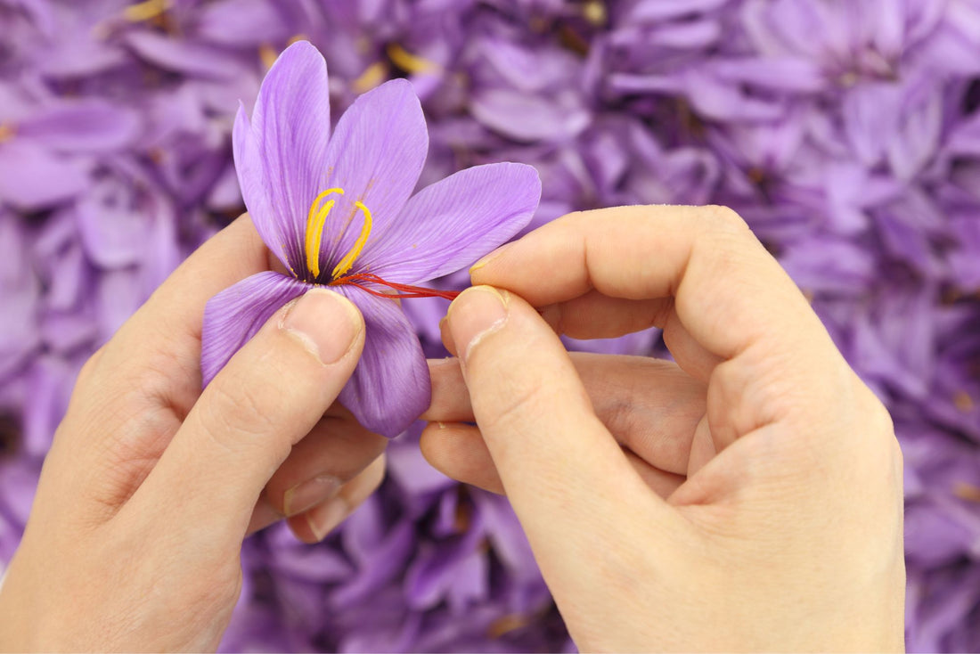 Saffron Benefits