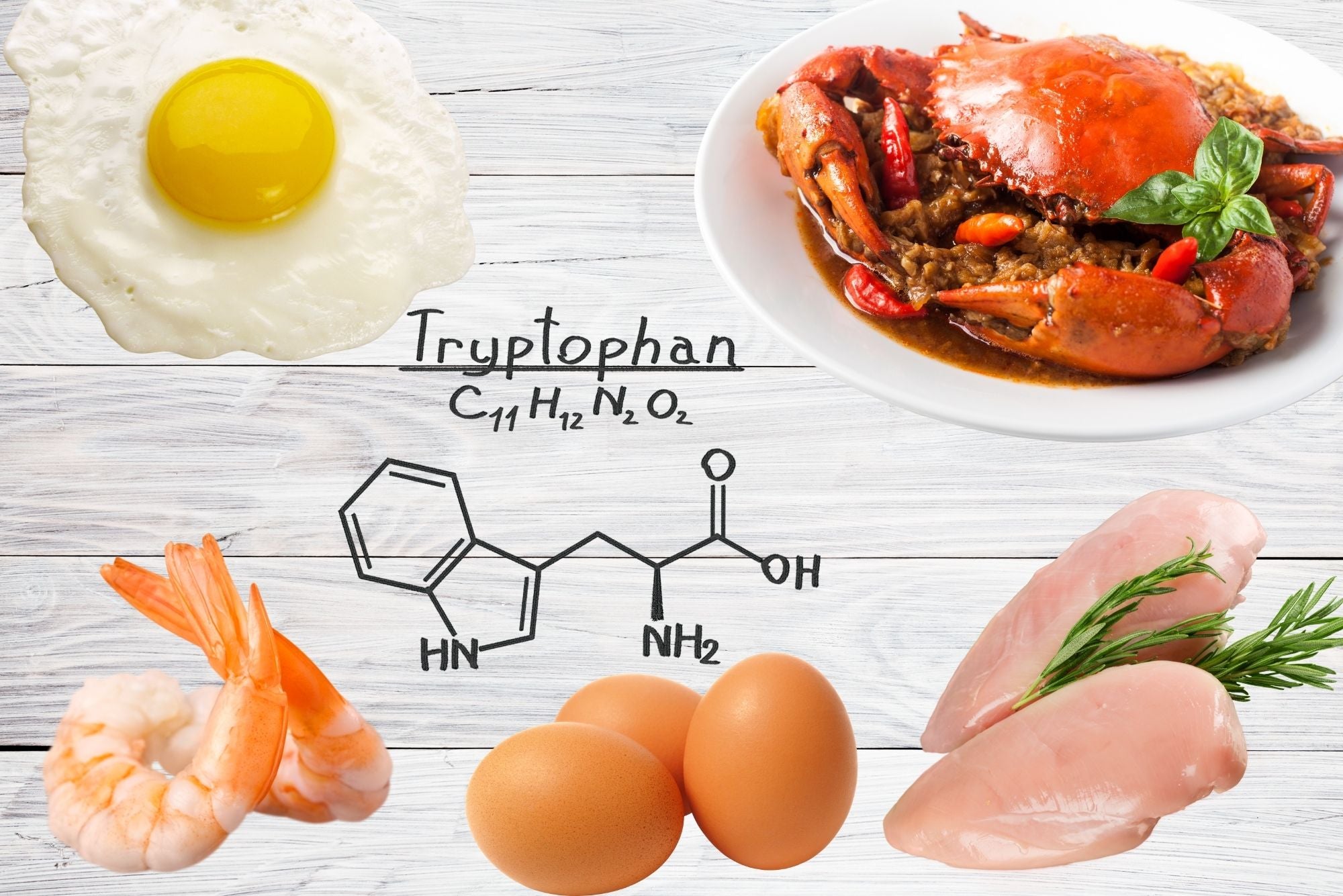 Tryptophan Sources of Tryptophan