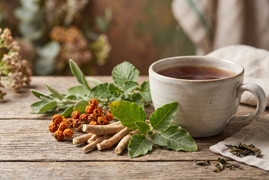 Ashwagandha And Brain Health Benefits