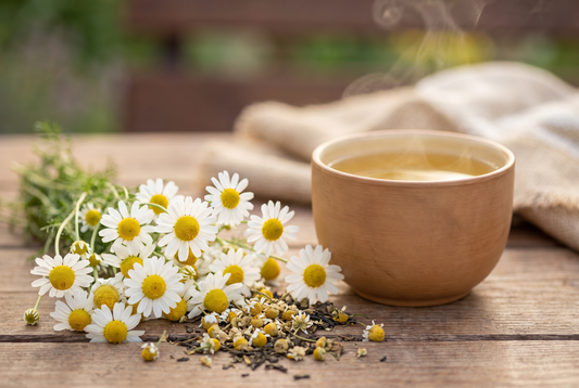 Chamomile: 7 Benefits For The Mind And Body