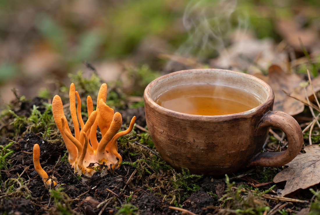 Cordyceps Mushroom: 6 Proven Health Benefits