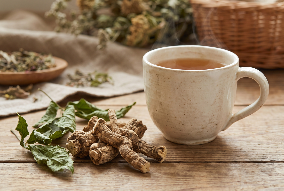 Eleuthero Benefits For Brain And Immunity