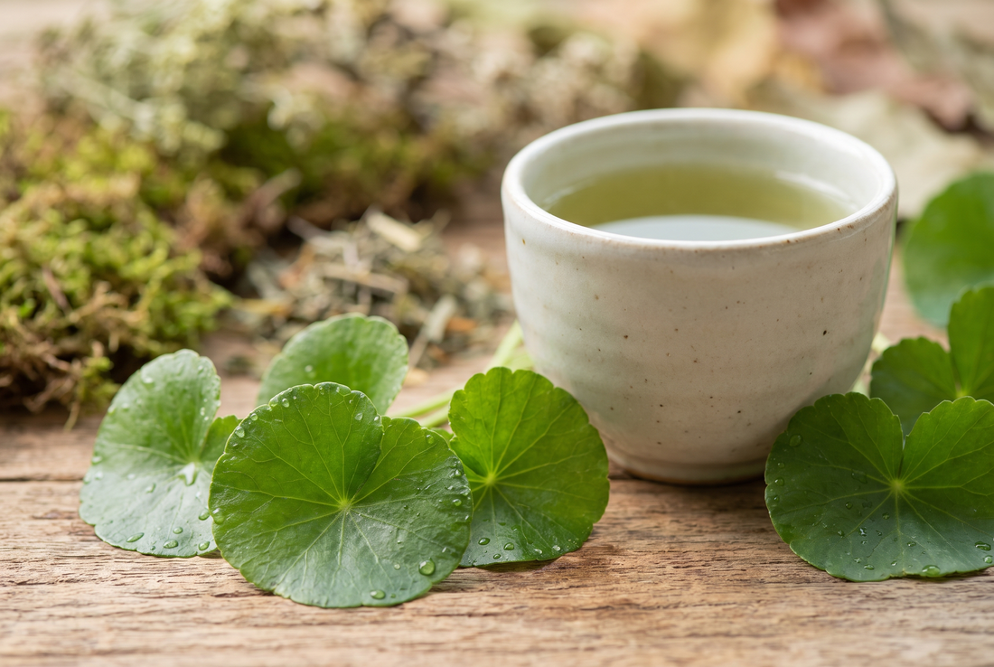 4 Reasons to Drink Gotu Kola Tea