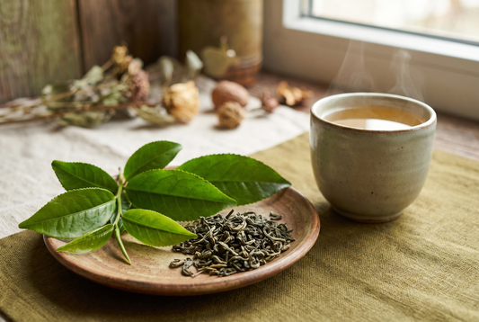 Green Tea Brain Benefits