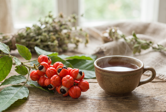 Guarana Tea Benefits