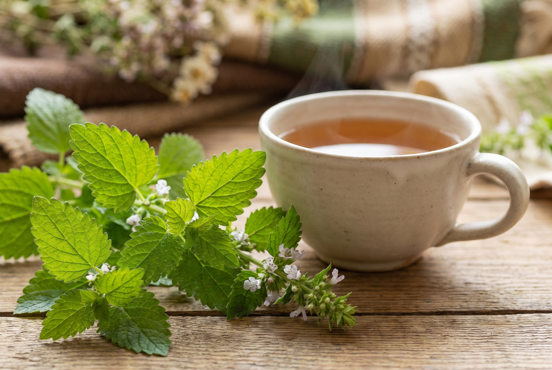 Lemon Balm Benefits