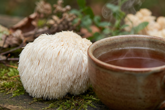 The Benefits Of Lion’s Mane Mushroom Tea