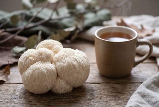 Lion's Mane Mushroom and Brain Health
