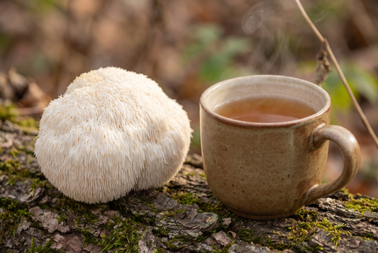 3 Brain-Boosting Benefits of Lion’s Mane Tea