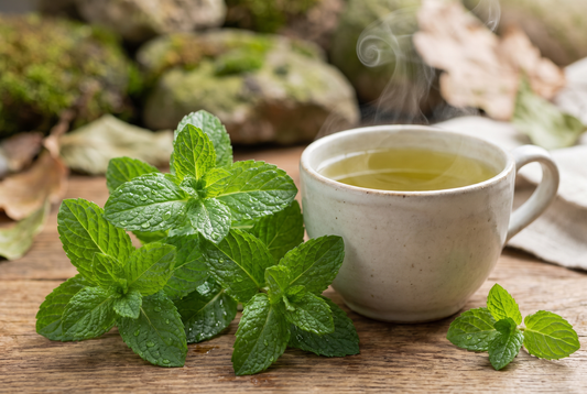 The Cognitive Benefits Of Peppermint