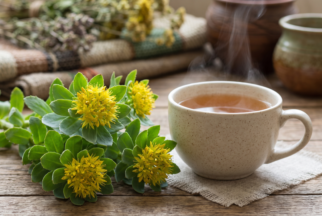 Rhodiola Rosea Tea Benefits