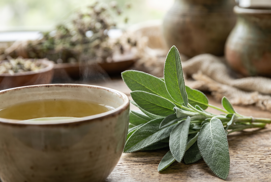 Sage: 5 Impressive Health Benefits