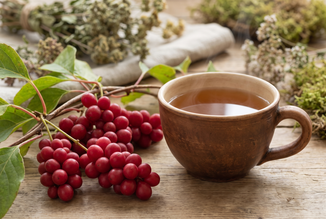 Schisandra: The Unique Adaptogenic Plant