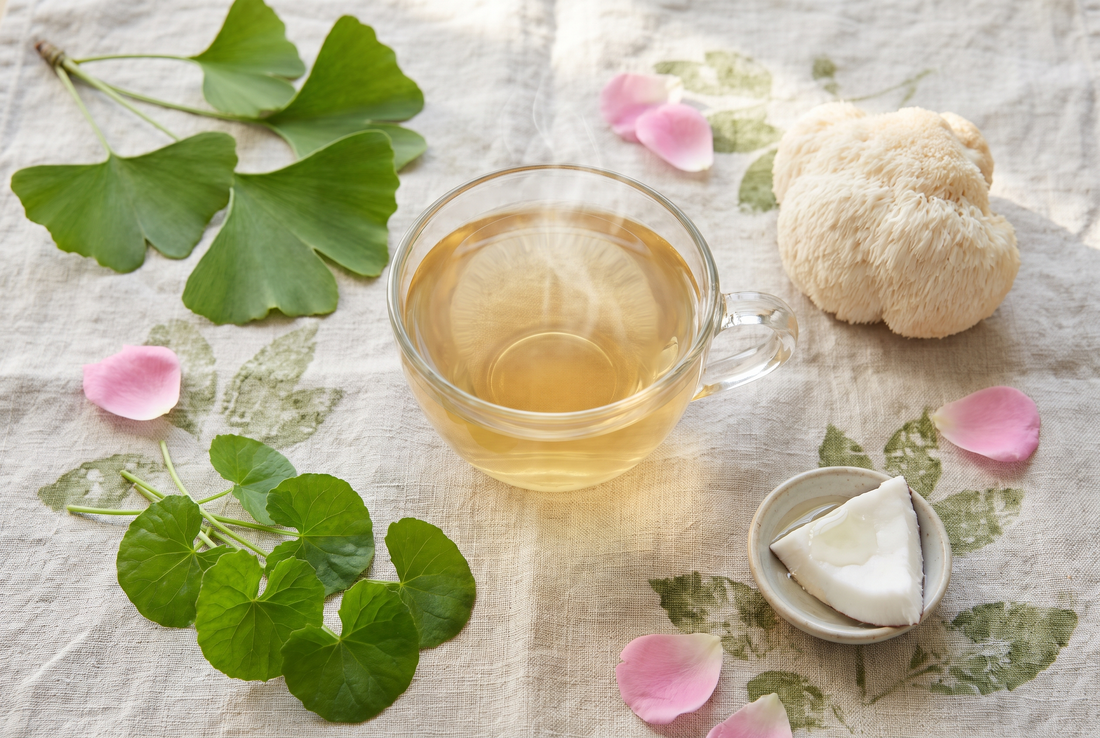 Brain Tea Focus and Memory ingredients - ginkgo biloba gotu kola lion's mane and MCT coconut with herbal tea