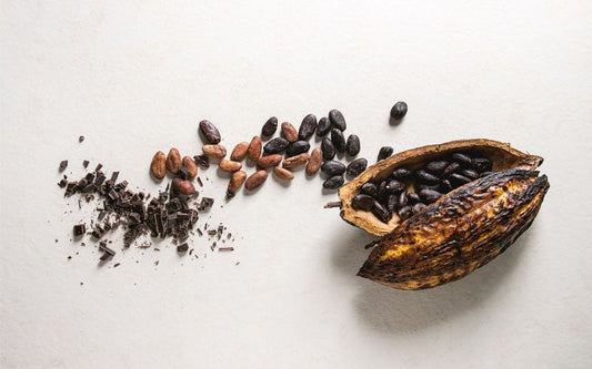 Cacao, Your Brain's Favourite Treat