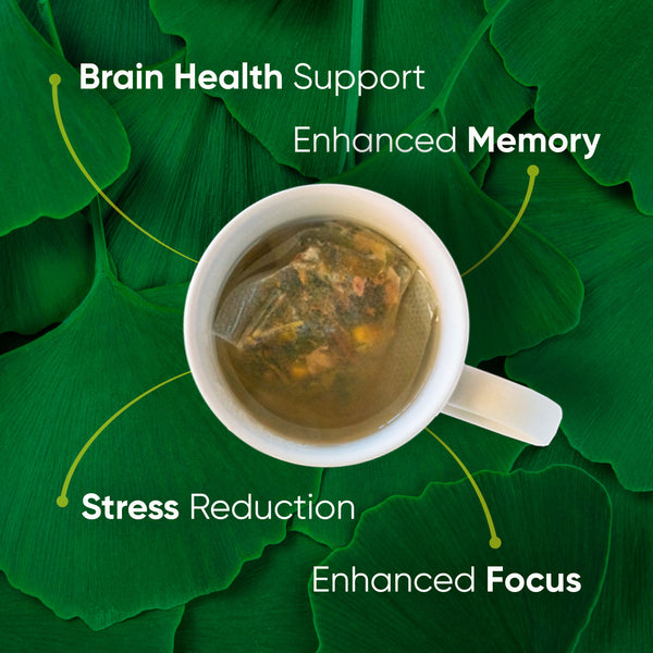 Brain Tea Focus & Memory