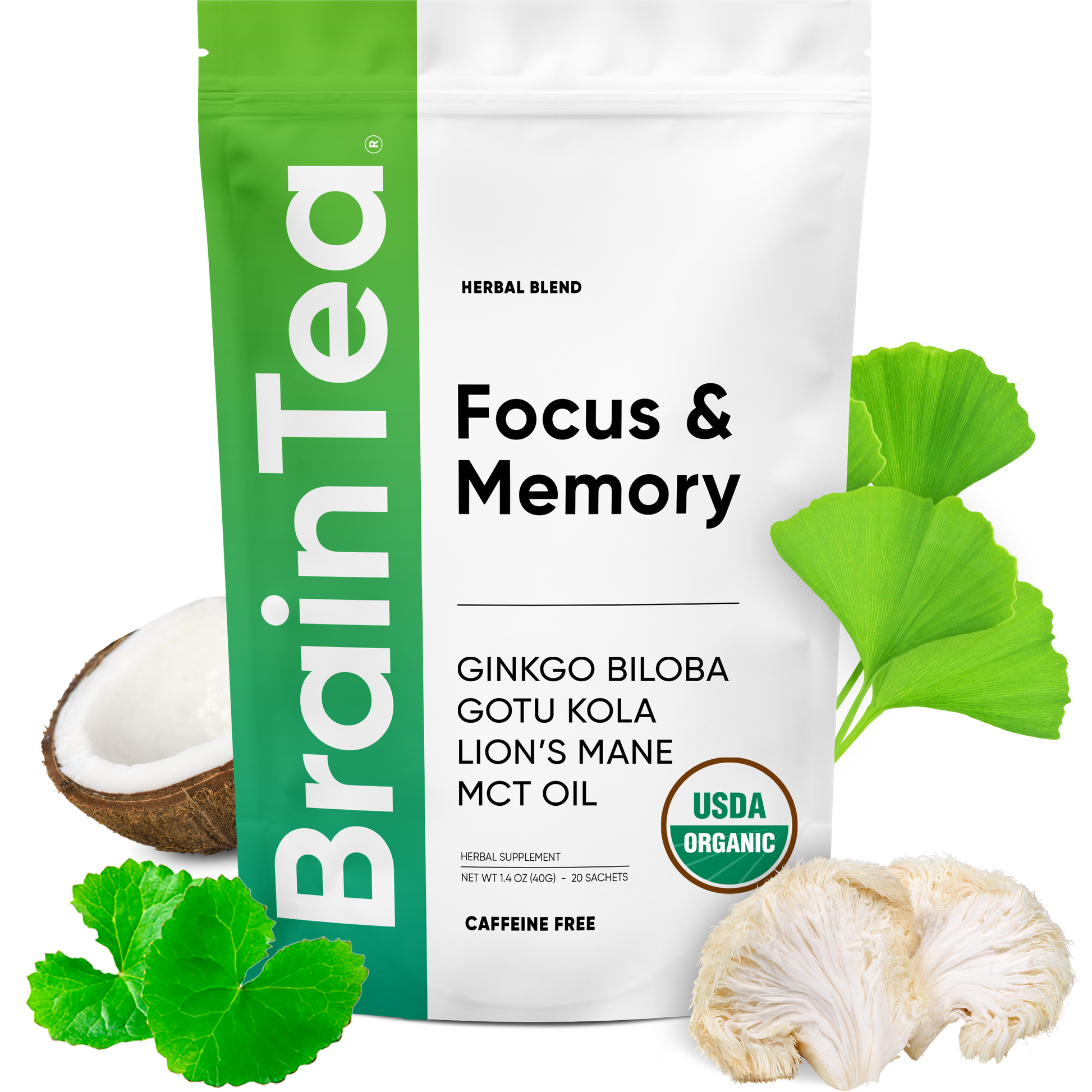 Brain Tea, Focus Tea, Ginkgo Biloba Gotu Kola MCT Lions Mane Mushroom