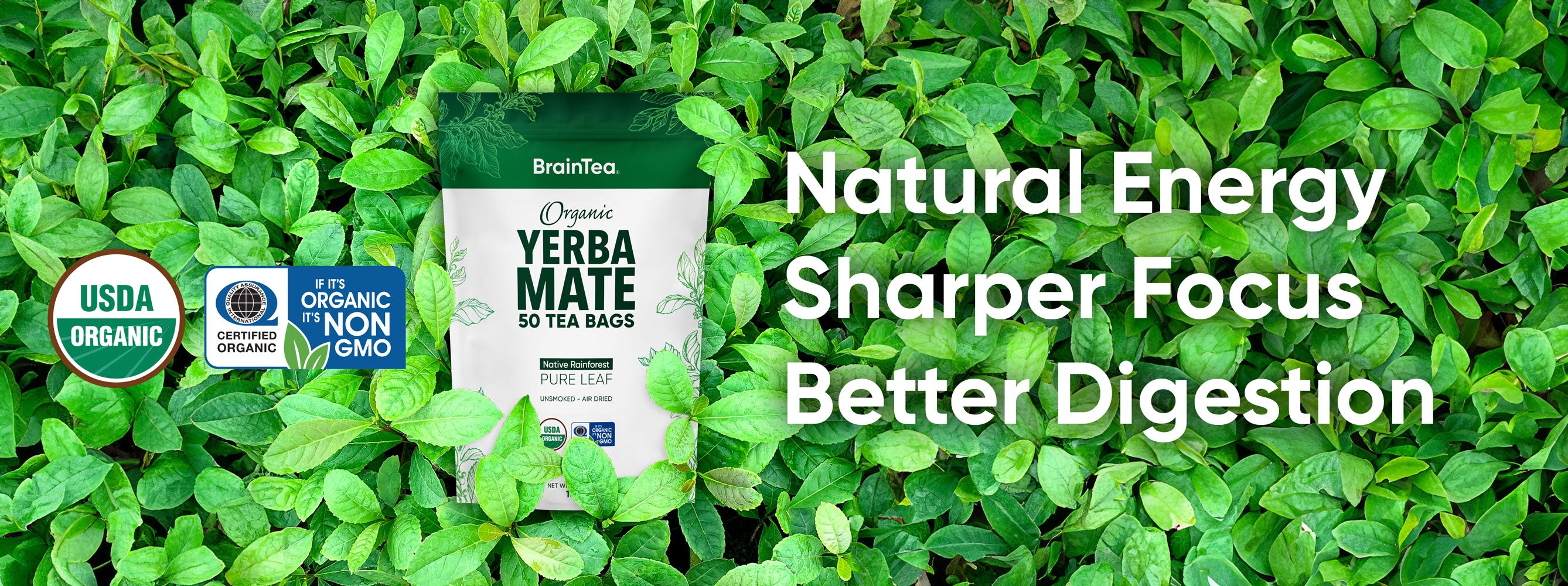 Organic Yerba Mate Tea Bags — Rainforest-Grown | Brain Tea